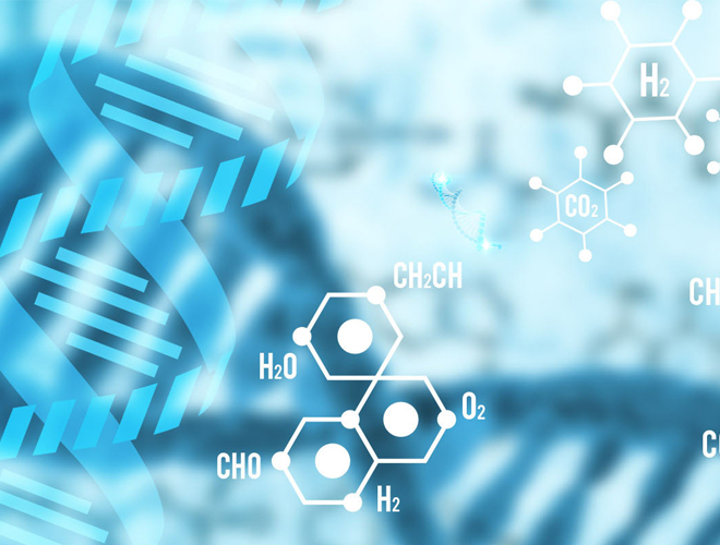 超低分子量透明质酸 超低分子量透明质酸